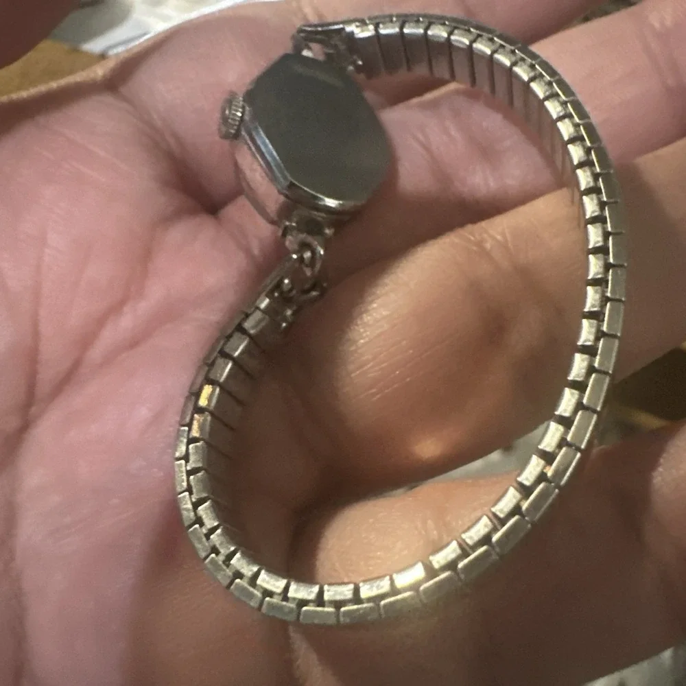 Working Vintage Helbros 17 Jewels Women's Manual Wind Silver Tone 17mm Runs Read
